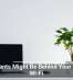 Houseplants Might Be Behind Your Sluggish Wi-Fi